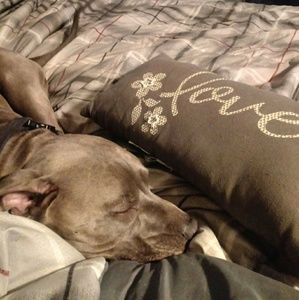 Meet your Posher, Carol